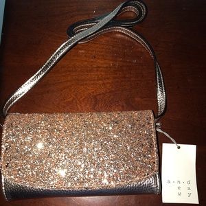 Rose Gold crossbody pocketbook